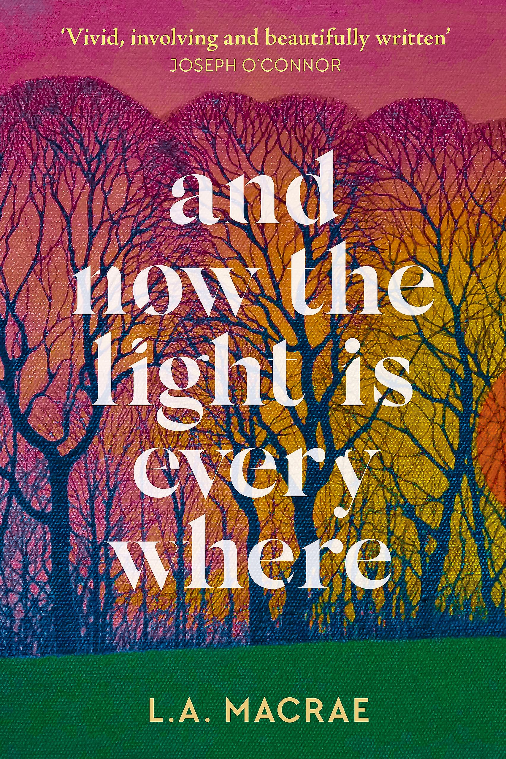 And Now the Light is Everywhere: A stunning debut novel of