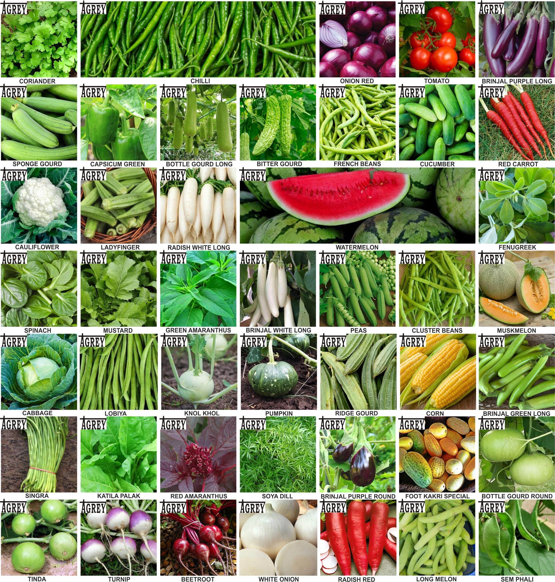 Agrey combo of 45 variety vegetable seeds with manual. (B0CSWQ9D39) Amazon Price History, Amazon Price Tracker
