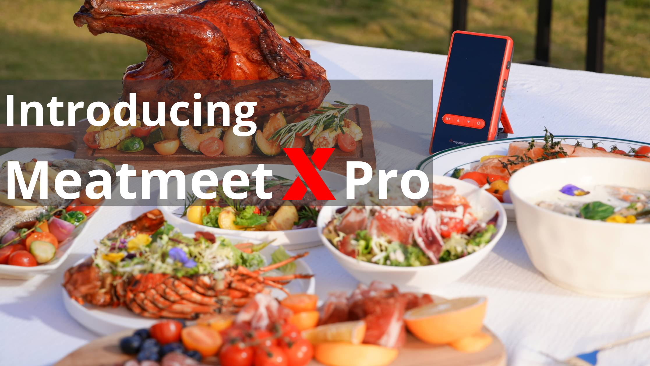 Image of Wireless Bluetooth Meat Thermometer Digital, Standalone Base, WiFi Unlimited Range, AI guided cooking, 6 Sensors with ± 0.18F Accuracy, 2 Probes for Kitchen, BBQ, Grill, Oven, Smoker (X Pro)