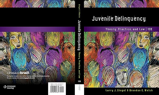 Ebook - Juvenile Delinquency: Theory, Practice, and Law (PDF Instant Download)