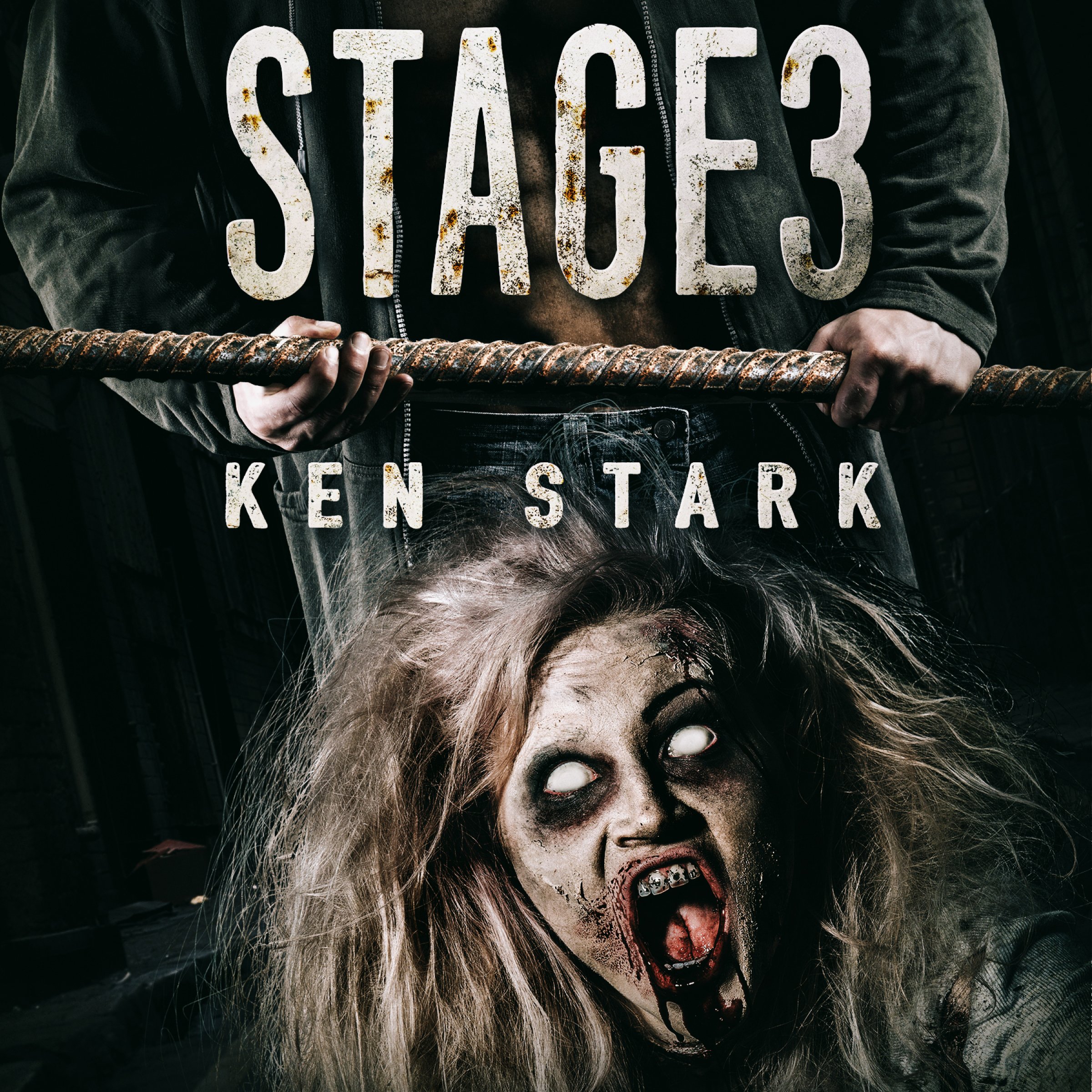 Cover art for Stage 3