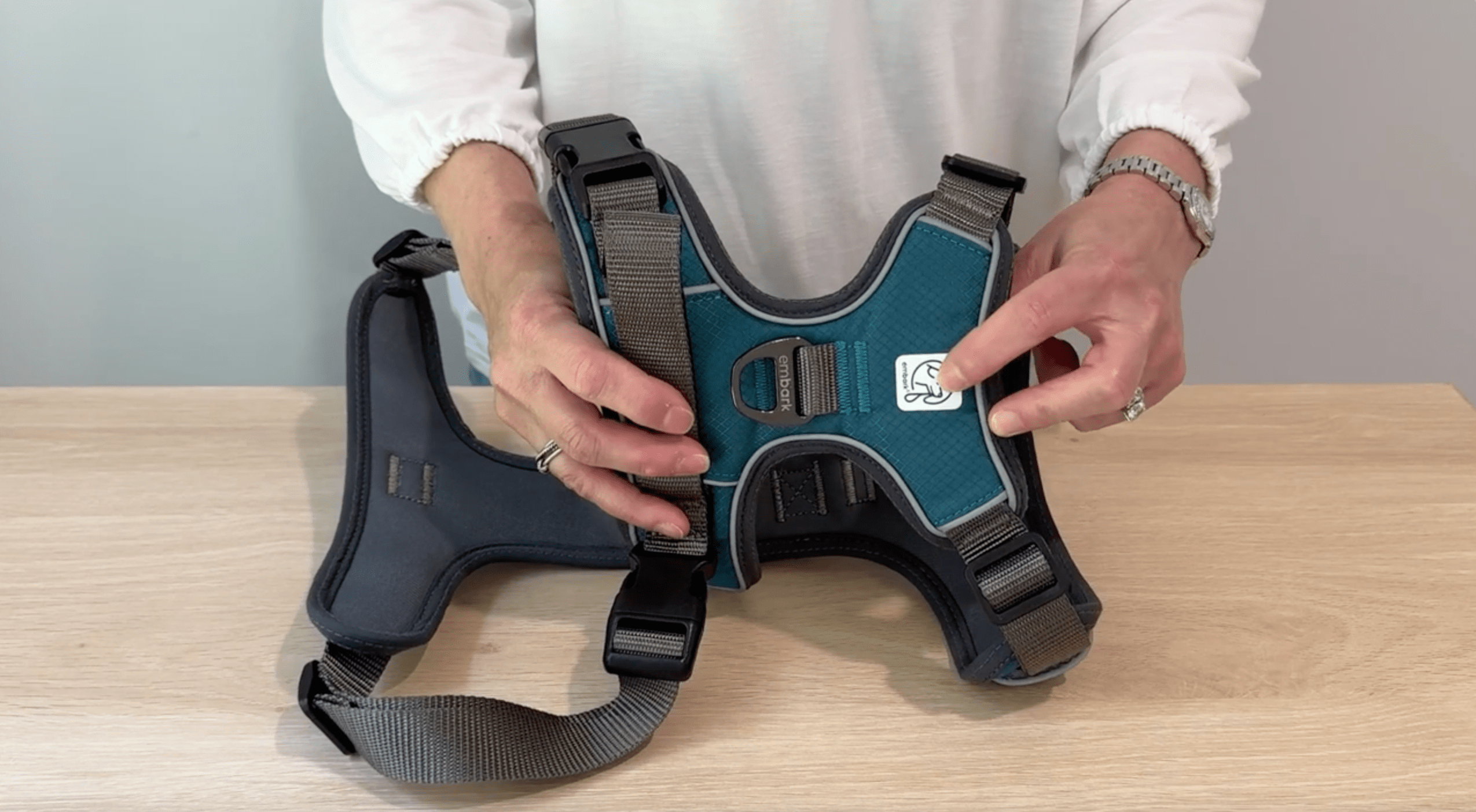 Amazon.com : Embark Adventure XL Dog Harness – No-Pull, Reflective
