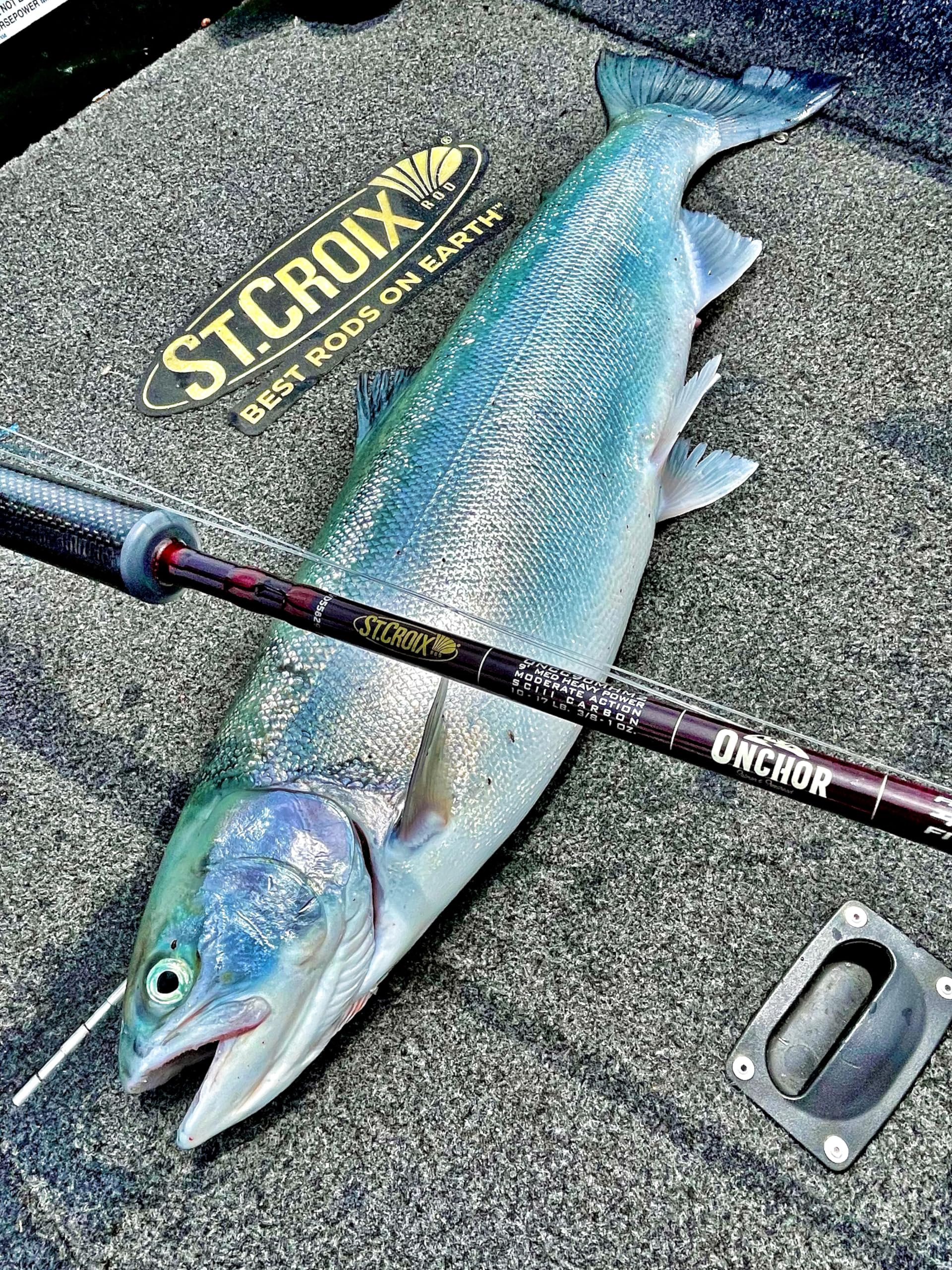 ‎St. Croix Rods Onchor Carbon Casting Rod, Salmon and Steelhead, Premium Quality Casting Rod, Manufactured in North America : Sports & Outdoors