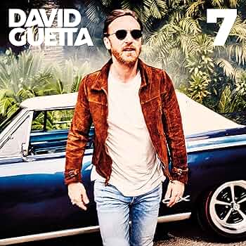EDM レコードまとめ売り2枚セットdavidguetta デヴィッドゲッタ EDM レコードまとめ売り2枚セットdavidguetta デヴィッドゲッタ