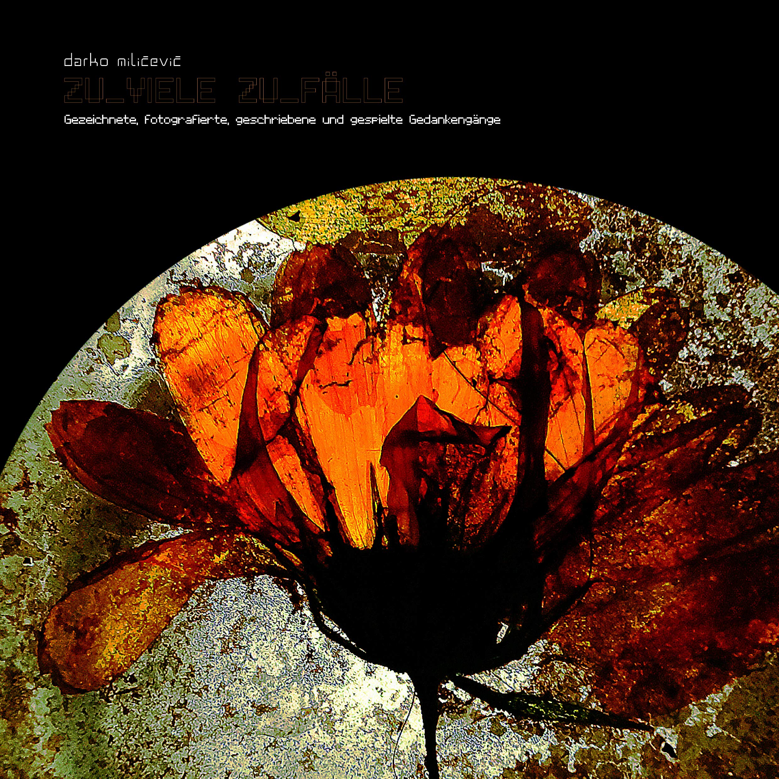 ZU_VIELE ZU_FÄLLE Gezeichnete, fotografierte, geschriebene und gespielte Gedankengänge (Kunstbuch mit CD-Album "AUDIOfalltüre"-Sonderausgabe) handsigniert