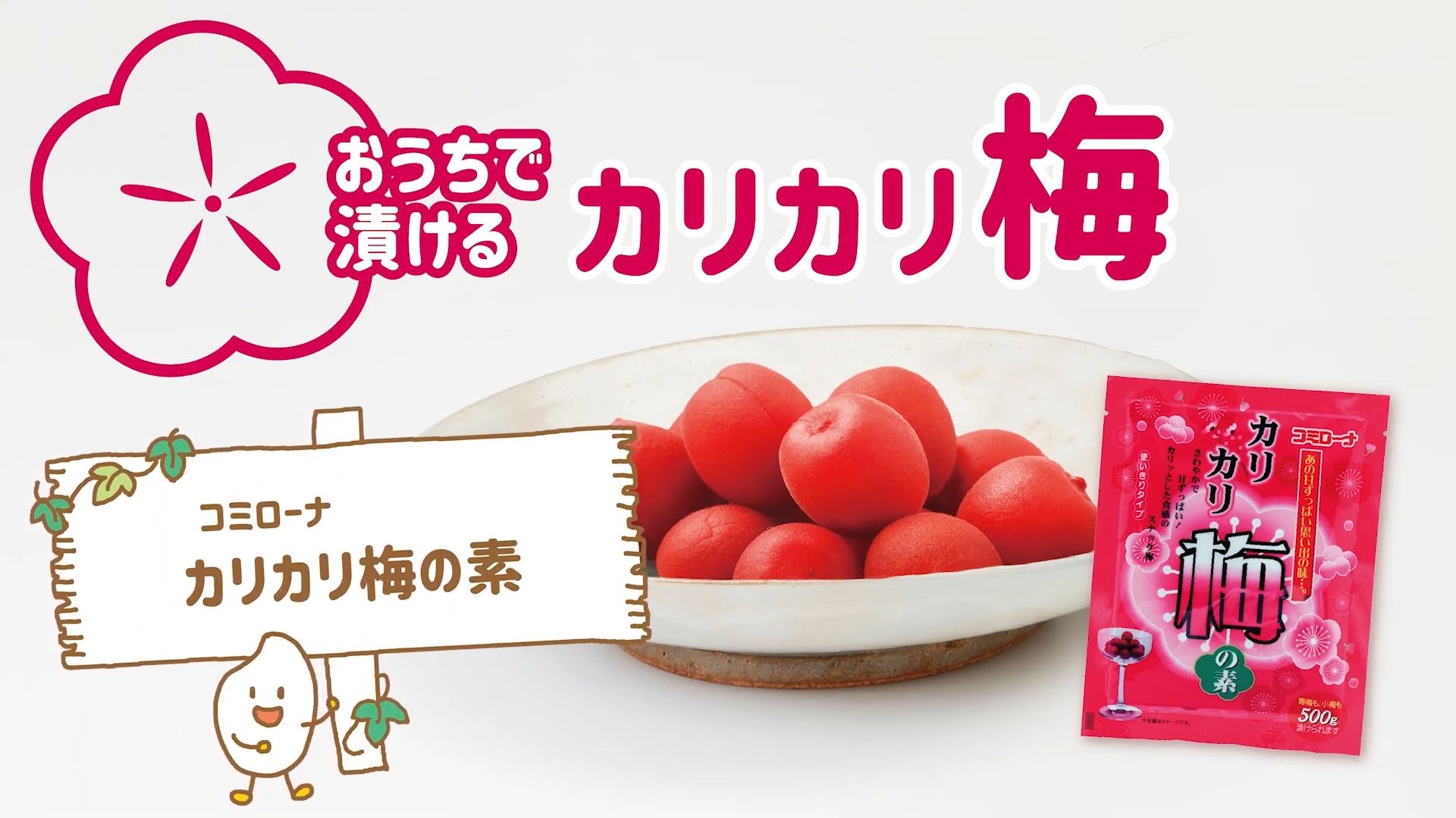 かりかり梅 H＆V手割りかりかり梅｜大阪屋ショップネットスーパー｜楽天