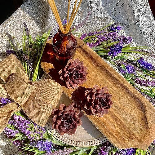 Miniatura 3 de Echeveria Black Mamba - Plantas suculentas vivas  Rara suculenta oscura, planta de fácil cuidado para interiores y exteriores para decoración del