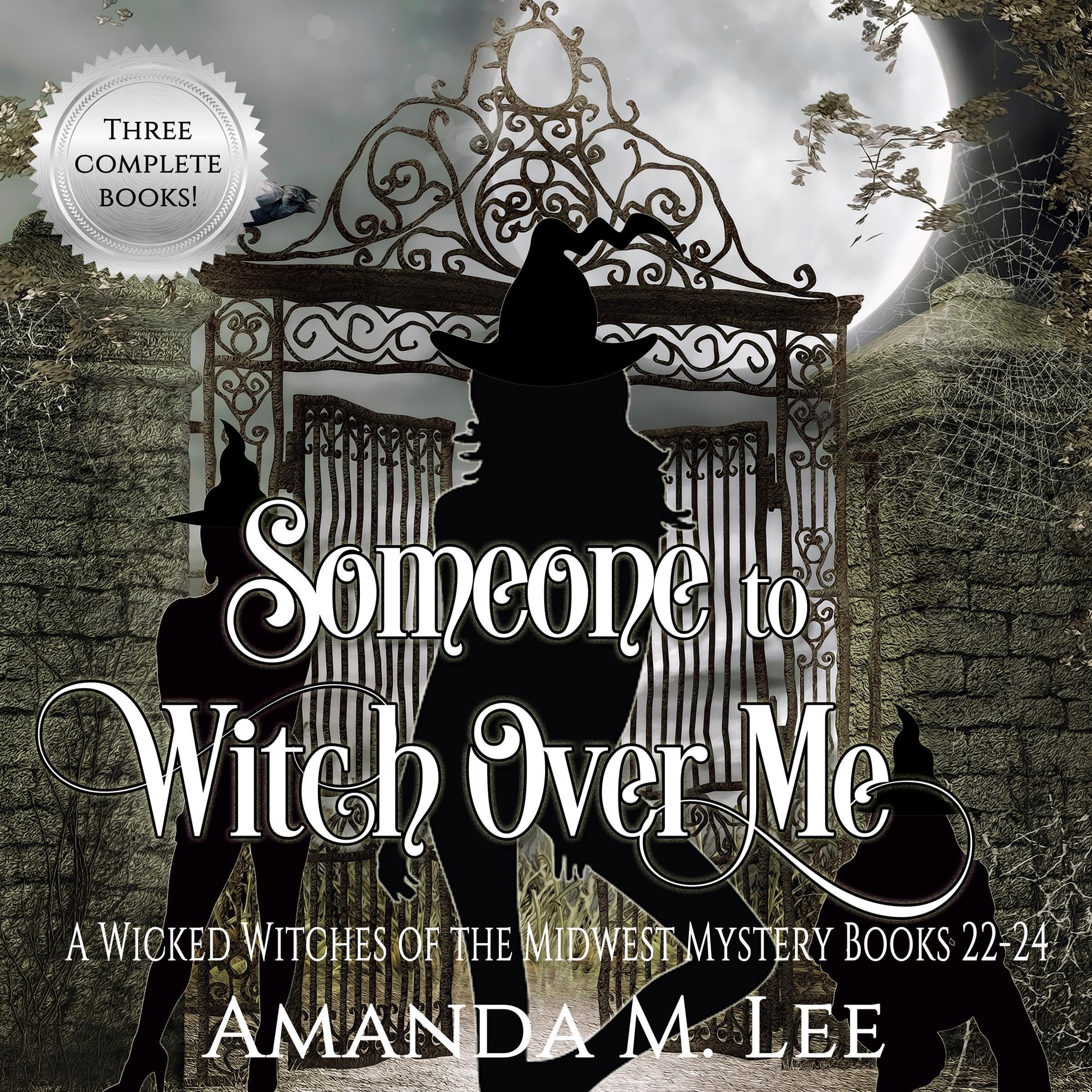 Cover art for Someone to Witch Over Me