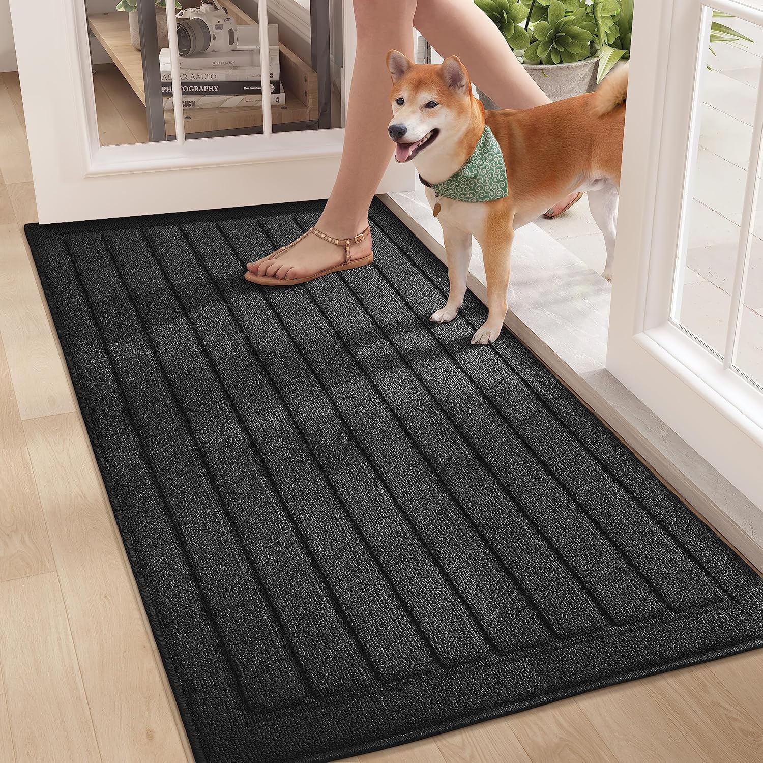 Color&Geometry Front Door Mat Indoor Entrance, Rugs for Entryway Non Slip Washable