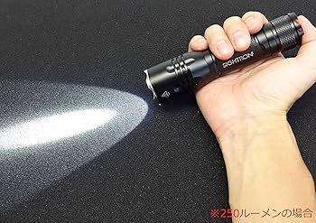 バイオトロンライト　Biotron Light AEGIS BL-1400 美品 バイオトロンライト＜Biotron Light＞日本製