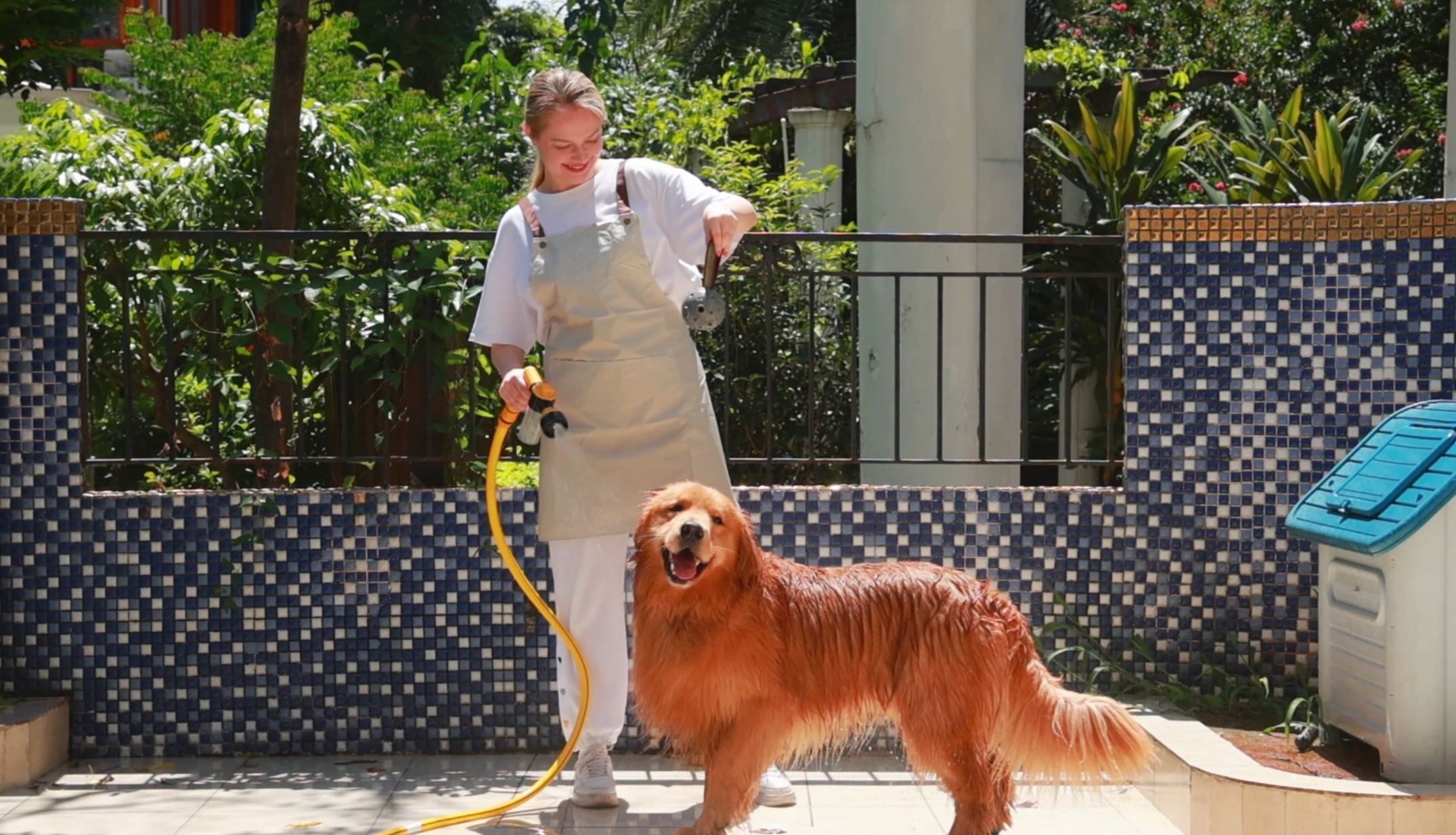 Blanlody ペット用ドライヤー 360度エアフロー Amazon.com: Blanlody High Velocity Dog Hair Dryer 5.2HP/ 3800W