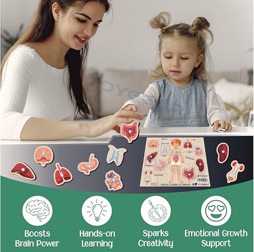Image of Boysbodyparts Eco Friendly Materials Wooden Learning Toys Puzzle for Brain Training /jorky Cutting Puzzle for Home /School /Non-Toxic /Education Memory Games for Baby Boy and Girl