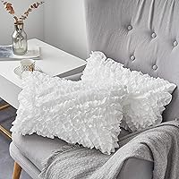 Vista 3 de Oubonun Juego de 2 almohadas lumbares de 12 x 20 pulgadas – Funda 100% algodón – Insertos de almohada rectangular cuadrada para sofá – Par