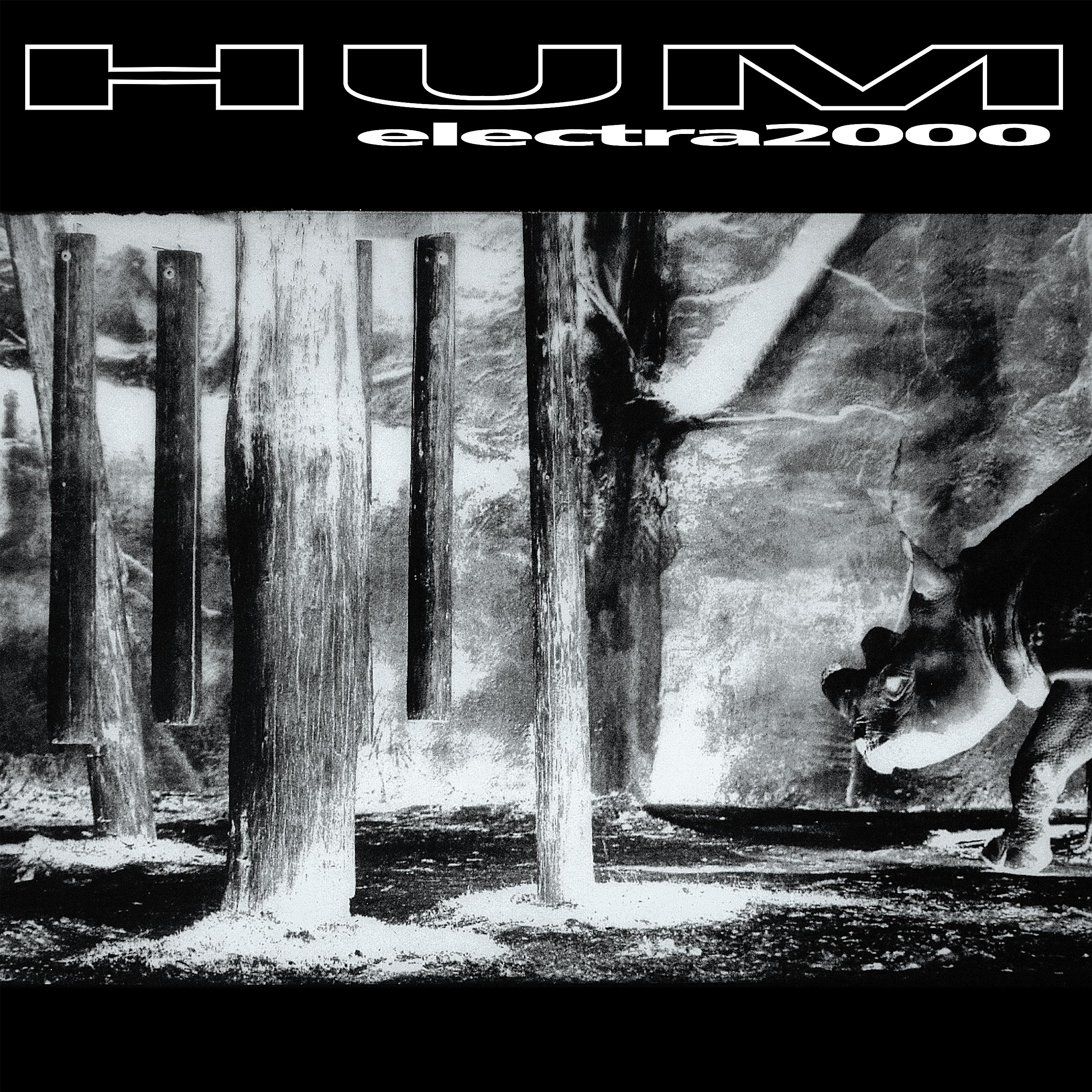 HUM Electra 2000 12インチレコード Amazon.co.jp: Electra 2000: Music
