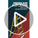Louisville Ladder 5-Foot Fiberglass Step Ladder, 250-Pound Load Capacity, Type I, FS2005