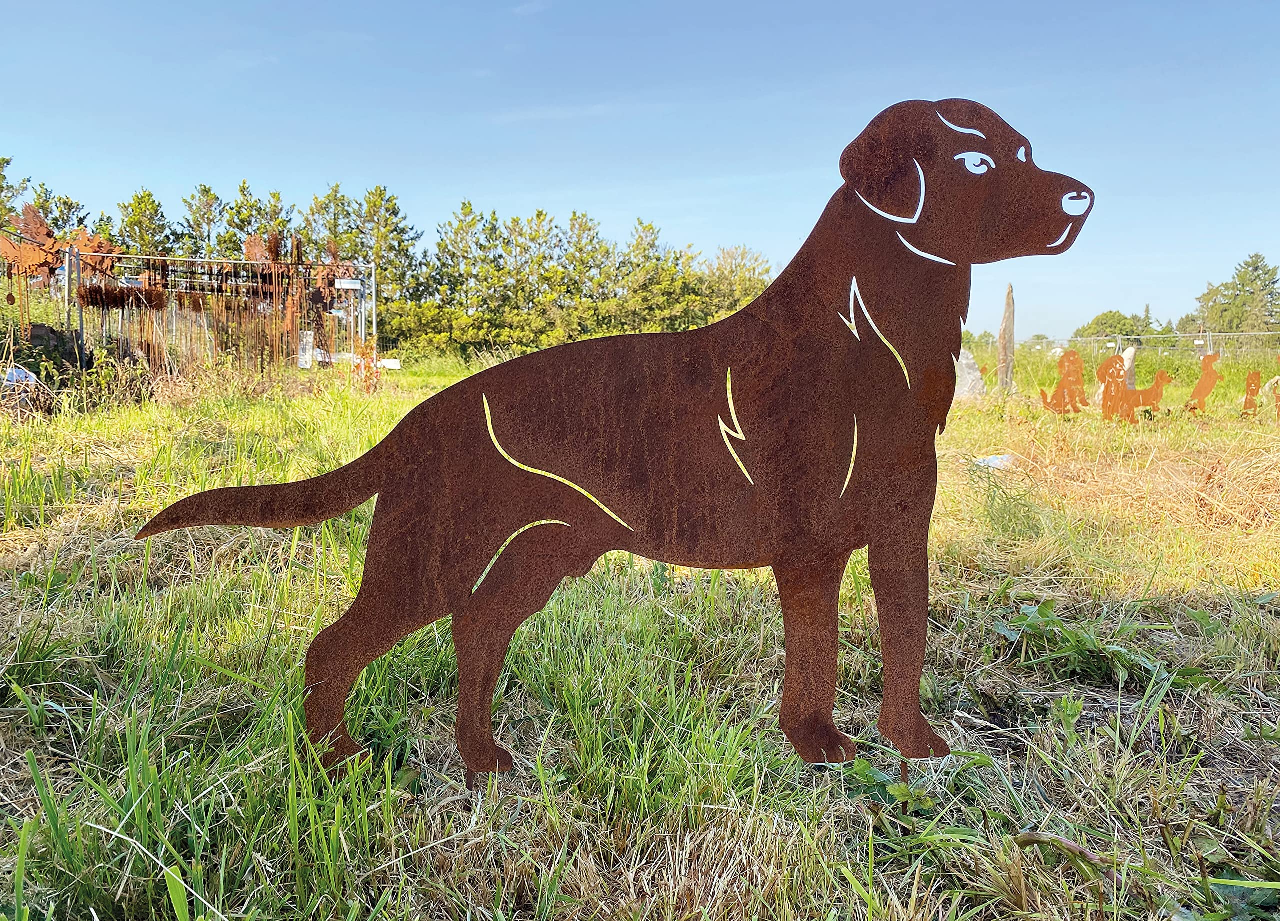 Gartenfigur Hund Labrador 85x61cm Gartenstecker Edelrost Gartendeko Wetterfest Rost Metall Rostfigur Hunde Figur Tier von Steinfigurenwelt