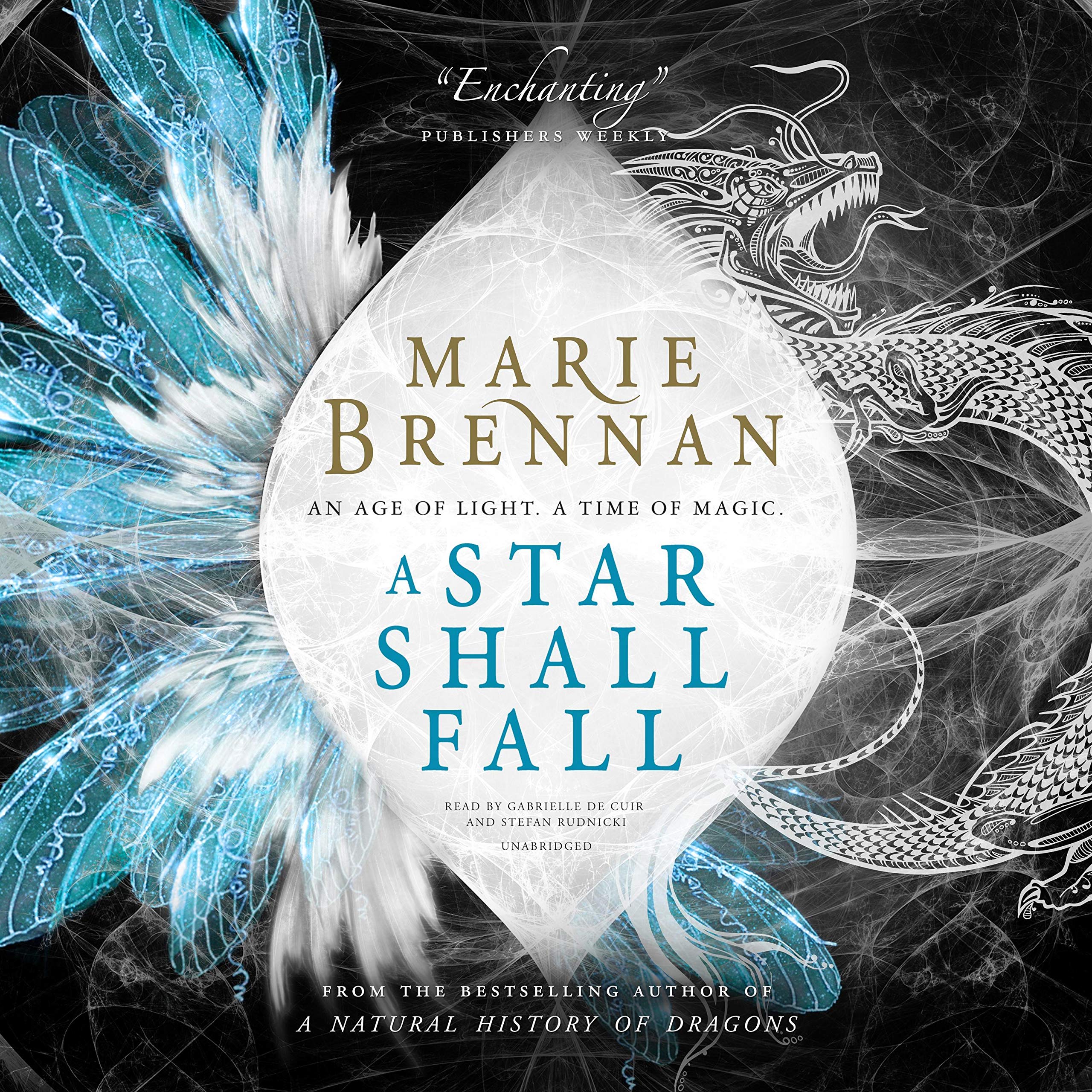 Cover art for A Star Shall Fall