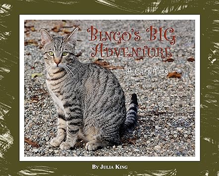 Bingo's Big Adventure