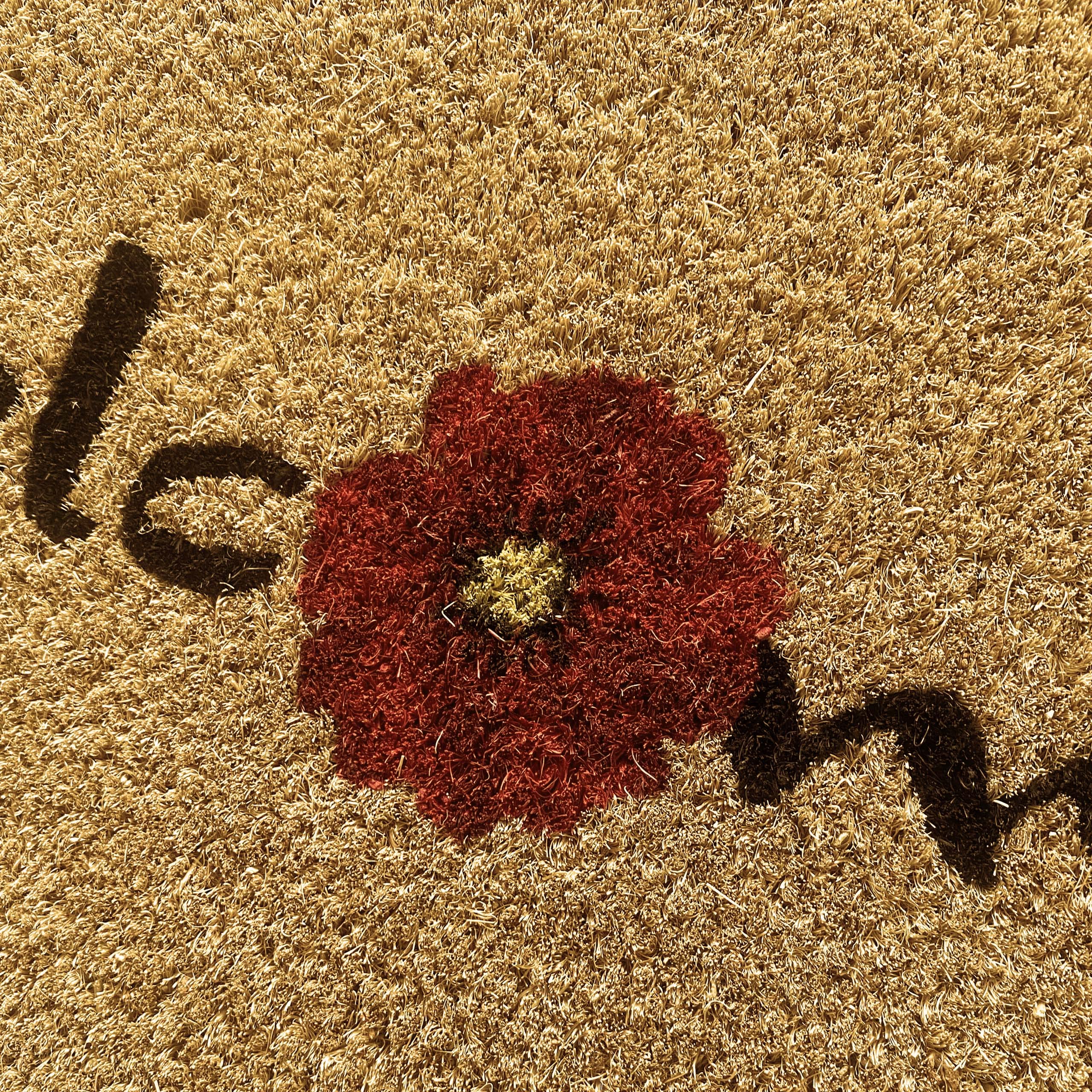 Teppich-Traum Zerbino sostenibile in Cocco • antibatterico • decorato con fiore in rosso, 45 x 75 cm