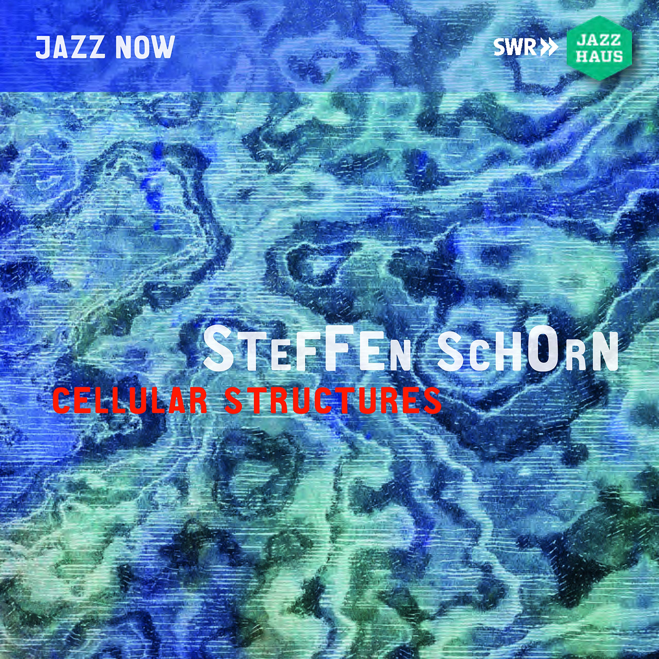 Steffen Schorn: Cellular Structures