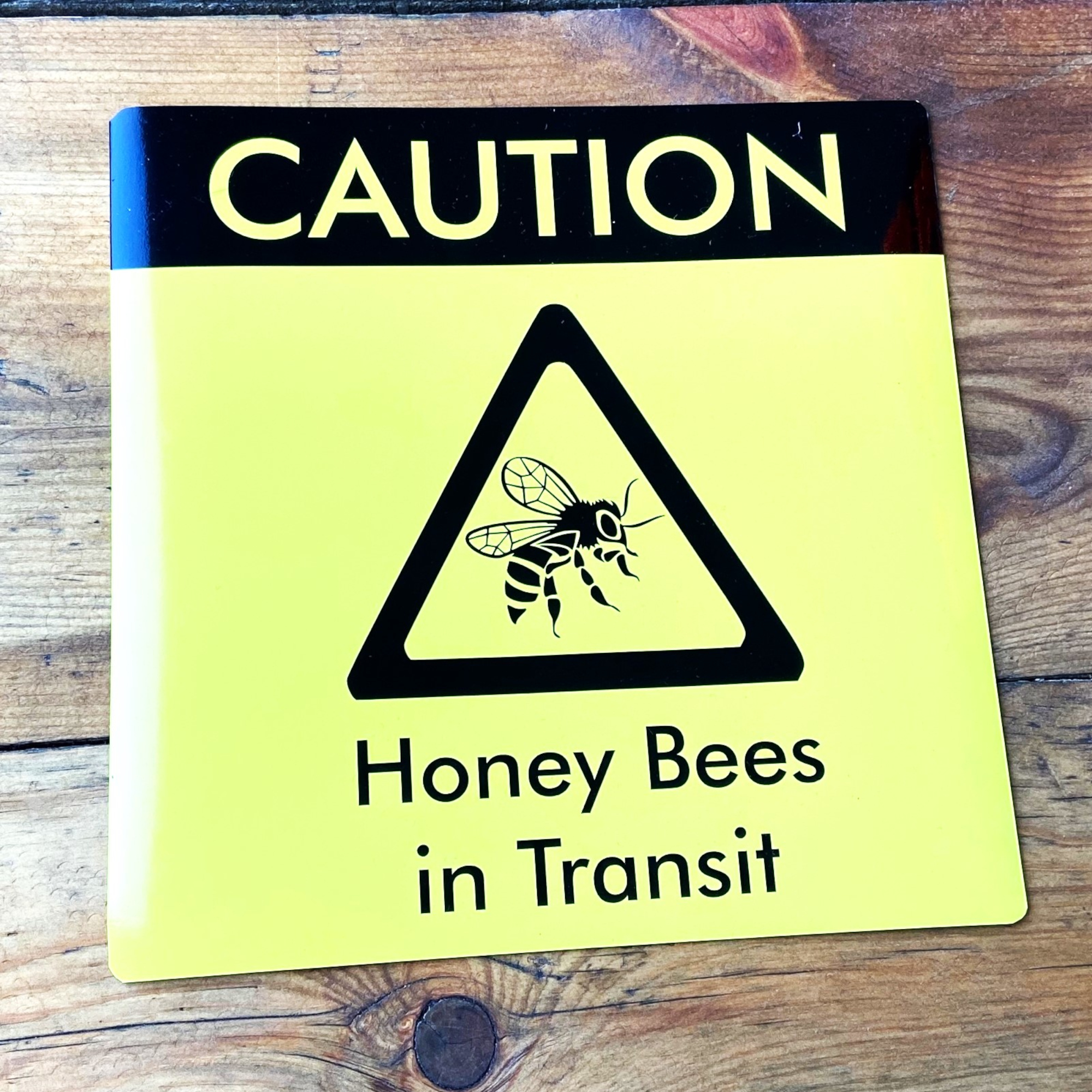 Ciment De Scellement Ionomère En Verre VOCO Meron - Libération De Fluorure, Faible épaisseur De Film