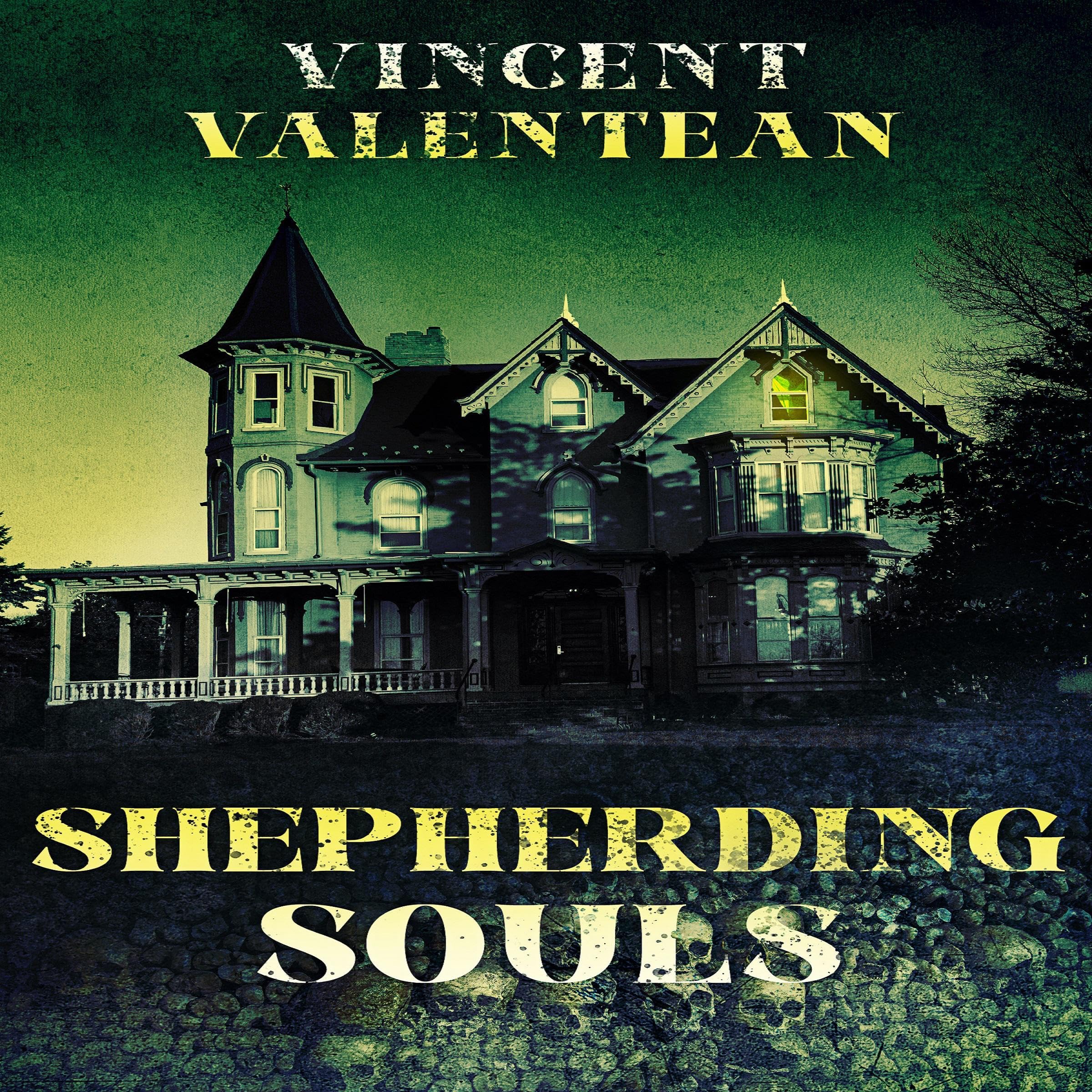 Cover art for Shepherding Souls