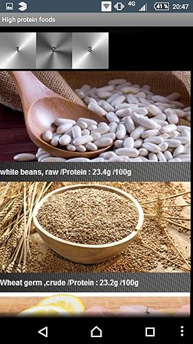 High Protein Foods