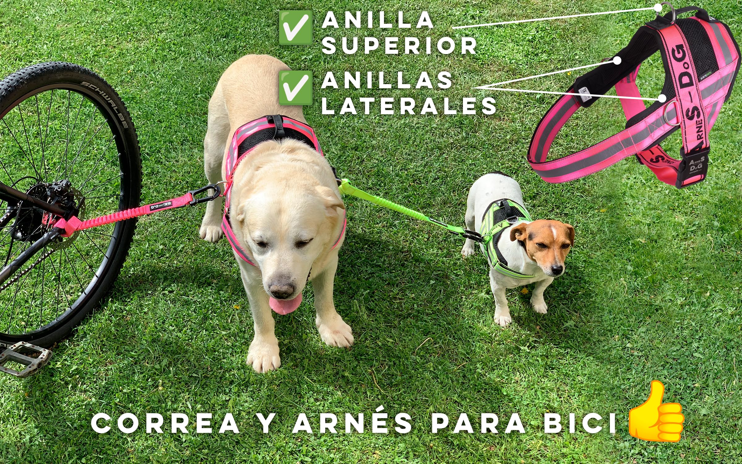 Correa y Arnés de Perro para Bicicleta, arnés con 3 Anillas, 2 Son Laterales, Incluye 2 Bridas Especiales para Bicicleta. Patentado. (XL, Rosa)