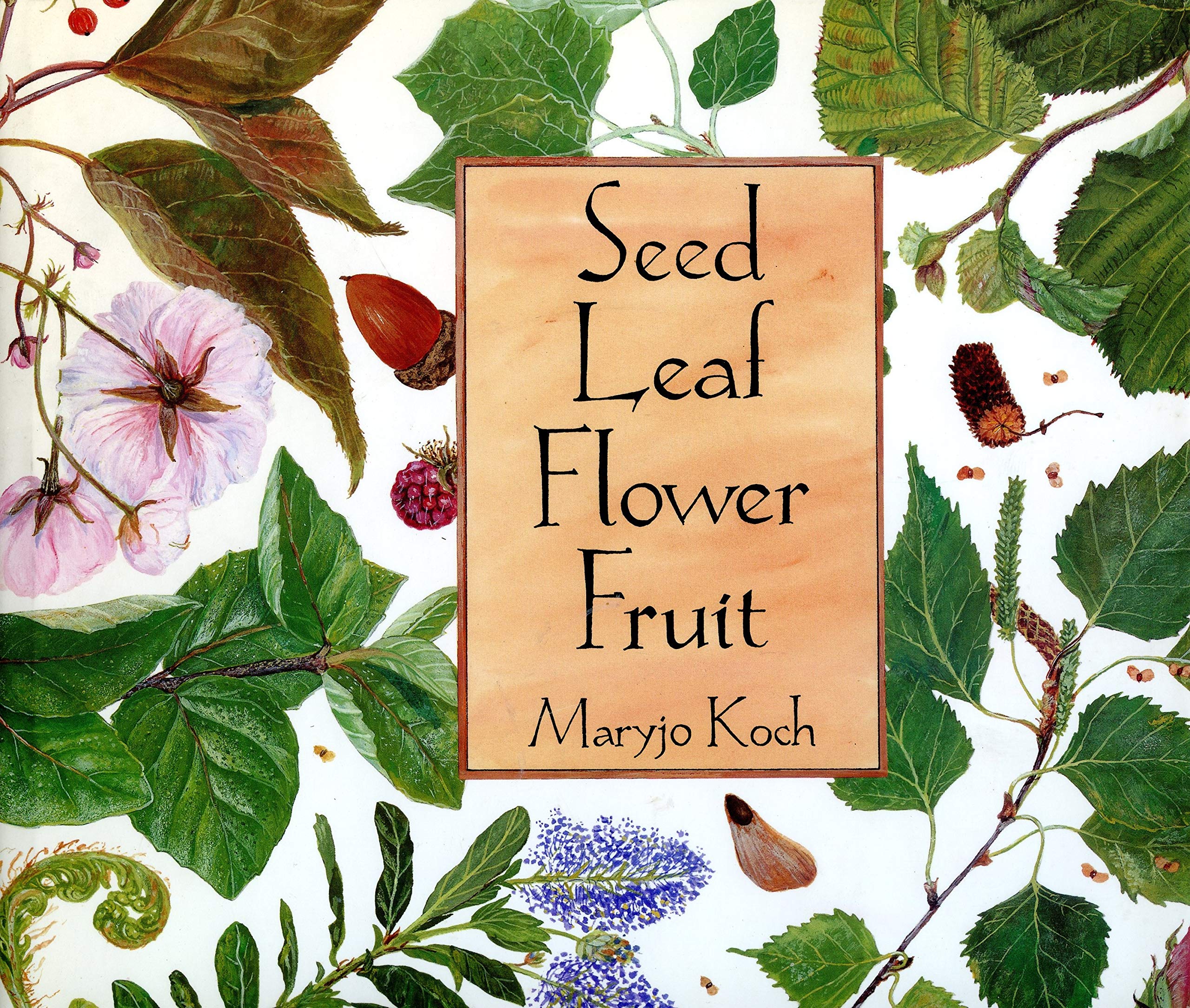 Seed Leaf Flower Fruit Koch, Maryjo