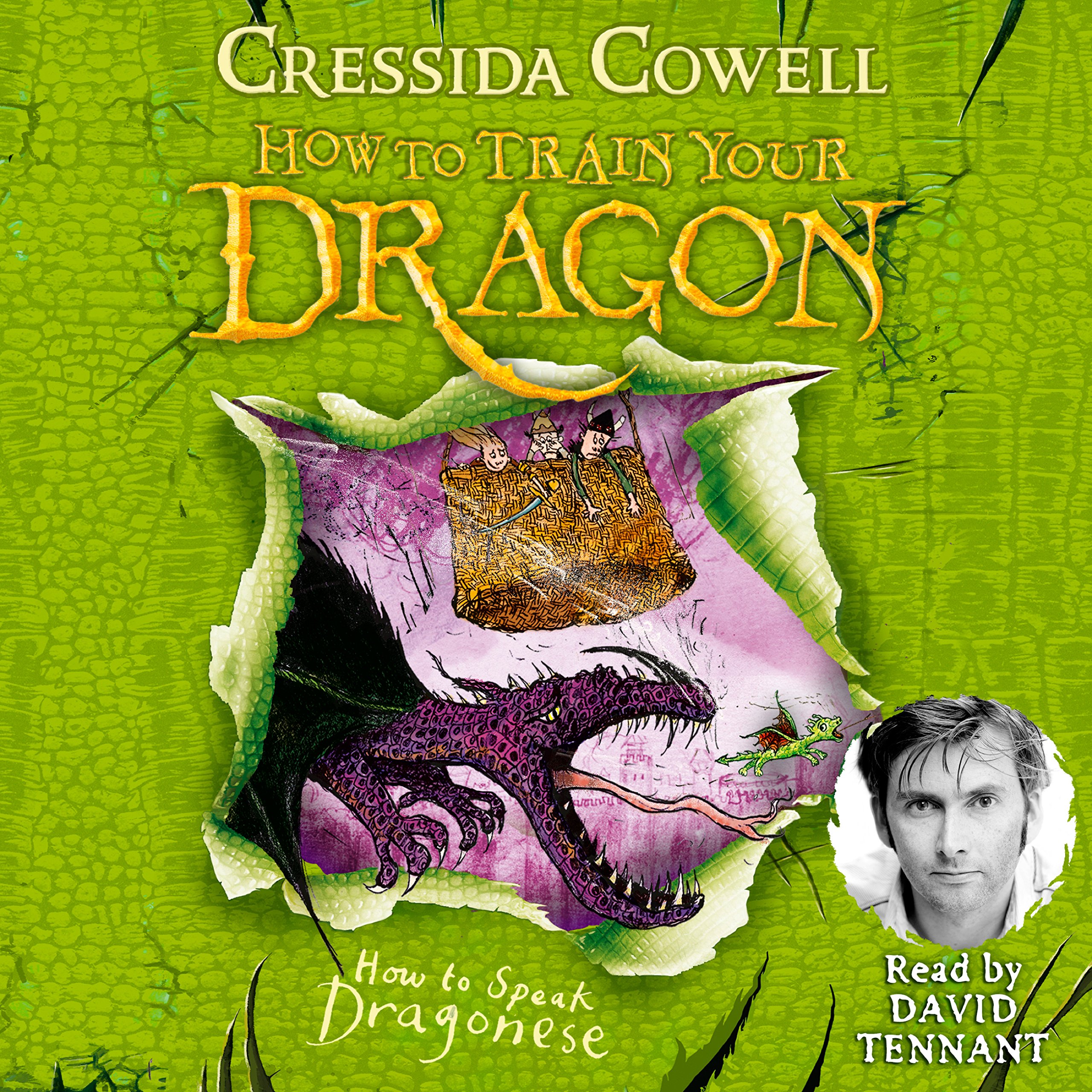 Cover art for How to Speak Dragonese