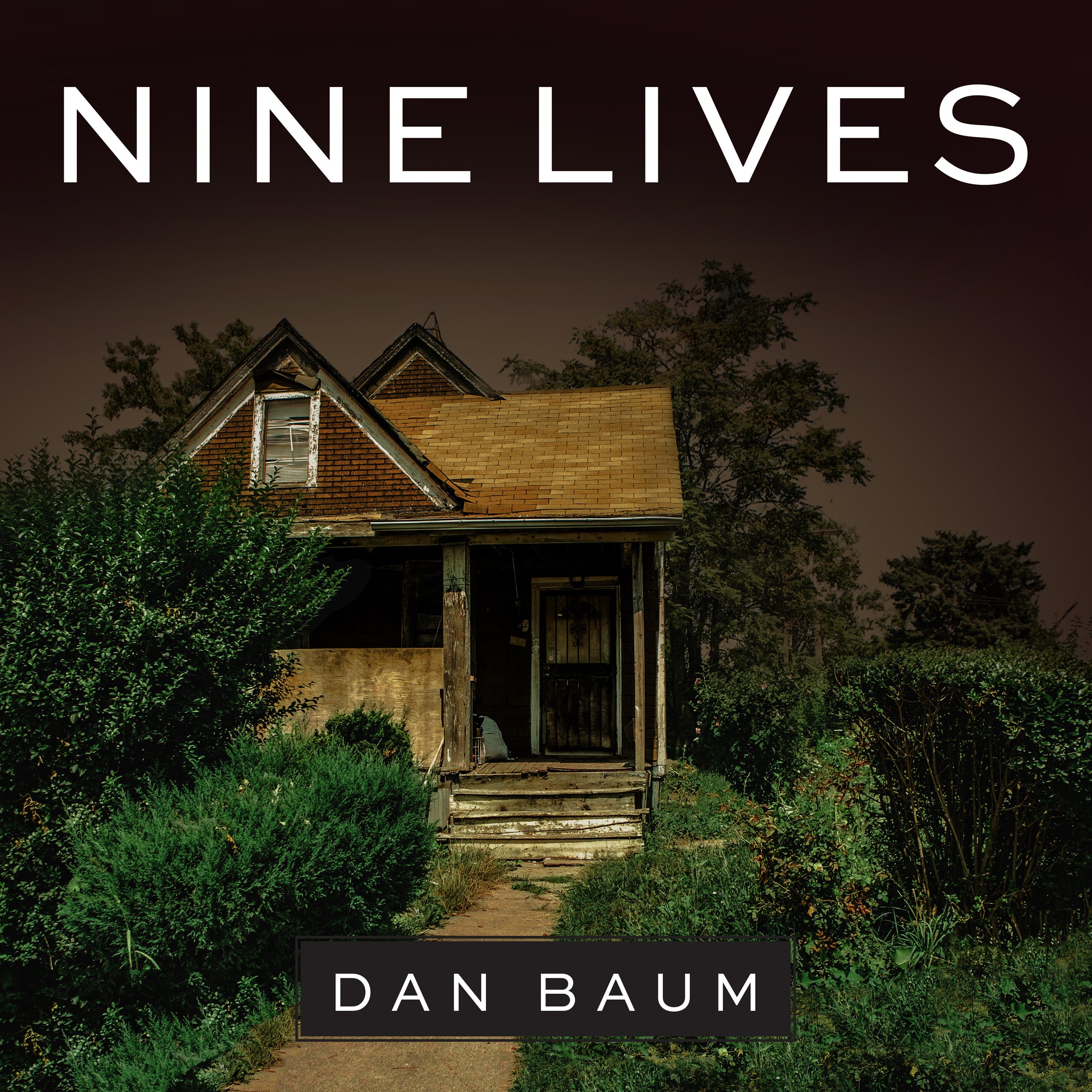 Cover art for Nine Lives