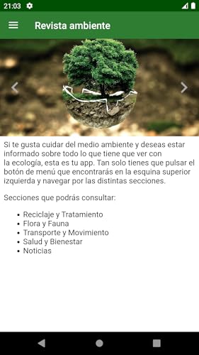 Revista ambiente