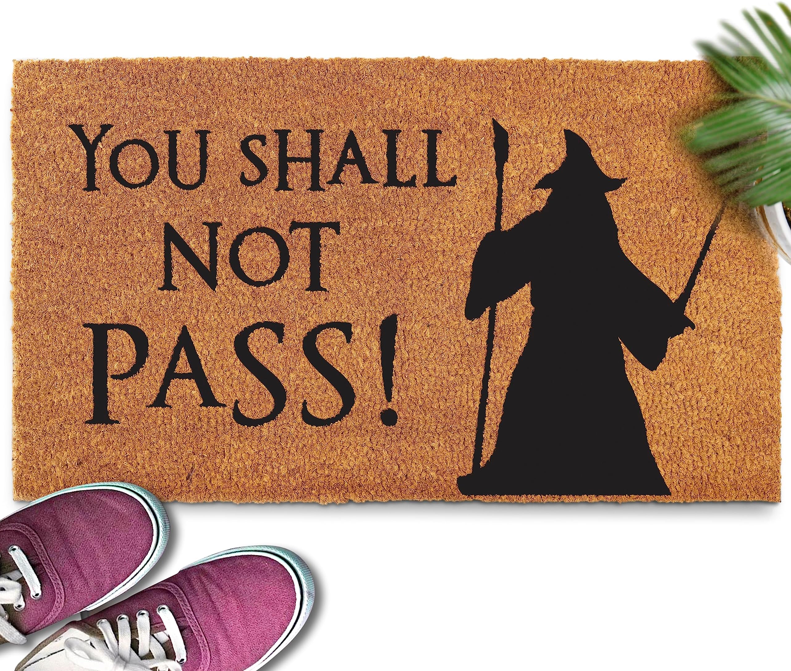 Amazon.com: Funny Welcome Door Mats Decorative Area Rugs for Front ...