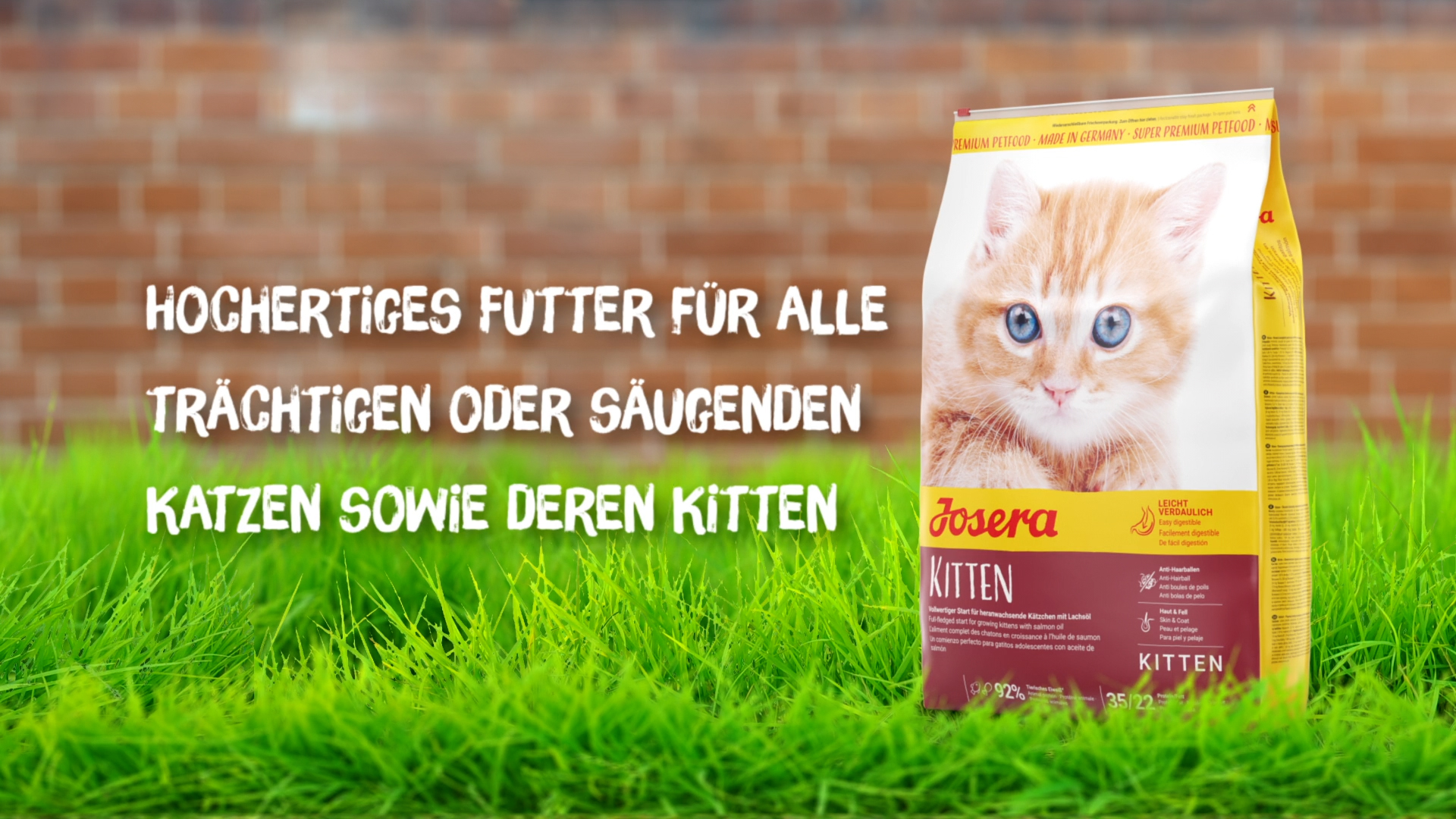 JOSERA Kitten Trockenfutter 11kg (10kg + 1kg) - Premium Futter Fr Ktzchen  & Mutterkatzen Lachs & Geflgel Trockenfutter Fr Heranwachsende Katzen