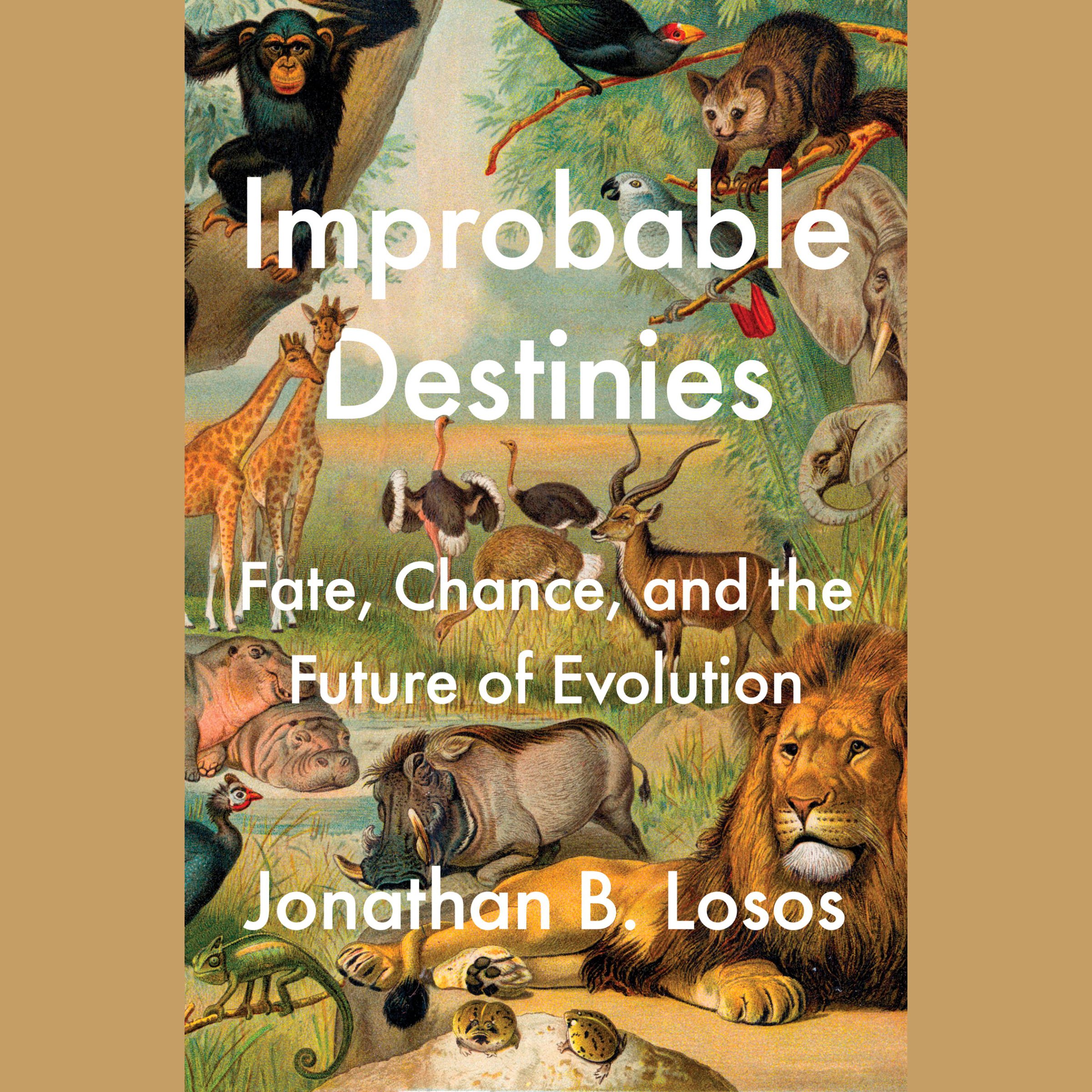 Cover art for Improbable Destinies
