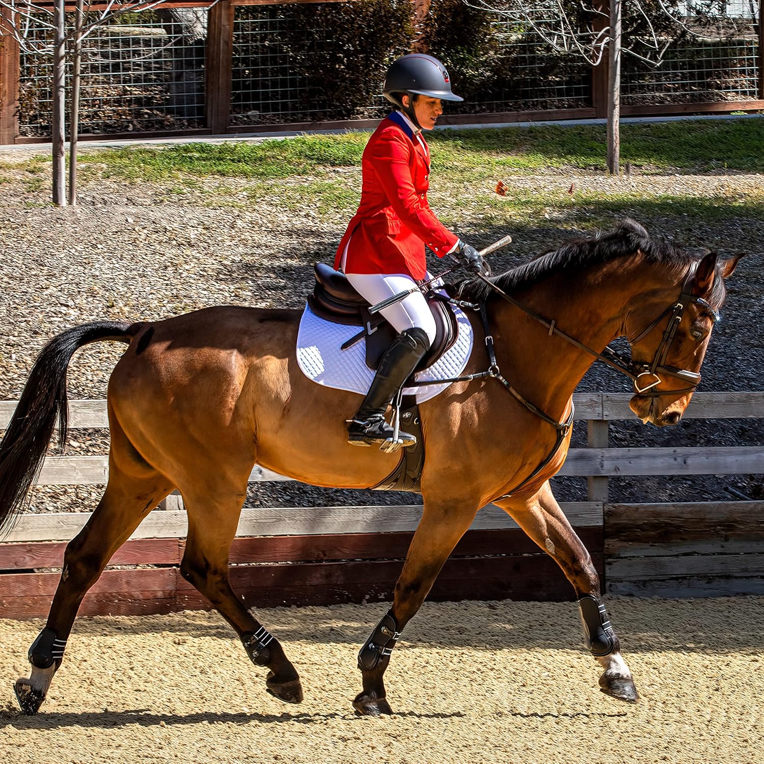 Professional's Choice Pro Performance Show Jump Boots | Hind Rear Pair | Universal Size | TPU or Standard Fastener