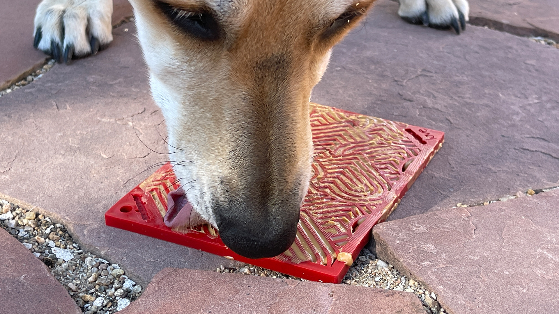 Amazon.com: SodaPup Love eMat – Durable Lick Mat Feeder Made in
