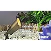 COLOER Die-cast Brass Outdoor Spot Lights for Yard, 12V AC/DC Low Voltage Landscape Kit IP65 Waterproof