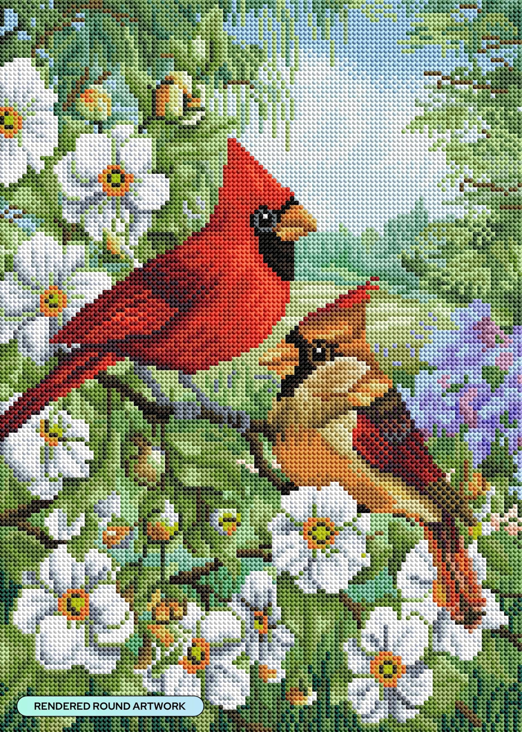 Amazon.com: DIAMOND ART CLUB Cardinal Couple Diamond Painting Kit