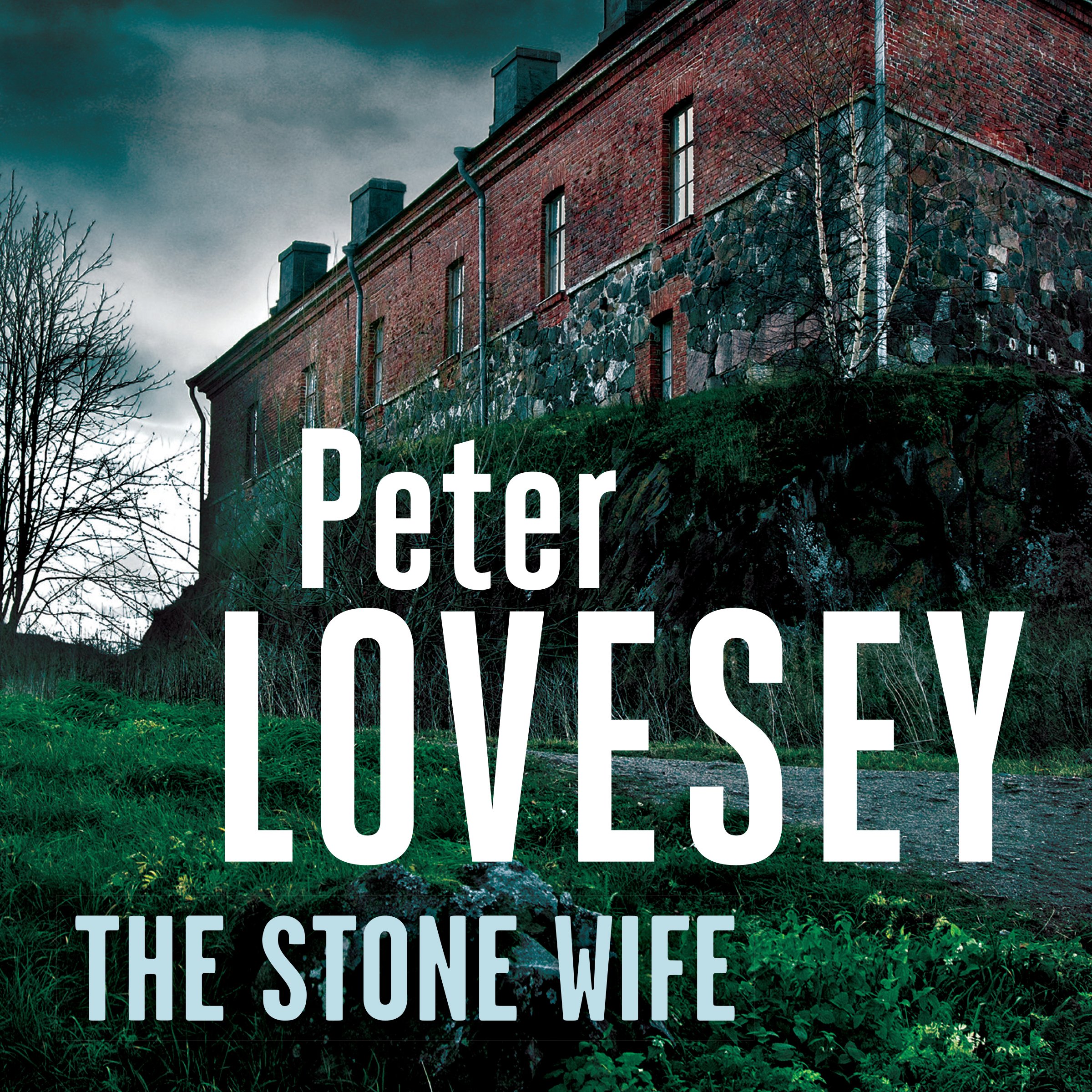 Cover art for The Stone Wife