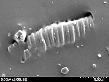 ★電磁波防御 cmcbio ネックレス付きペンダント★ Amazon.co.jp: 電磁波防御 cmcbioペンダント : ファッション