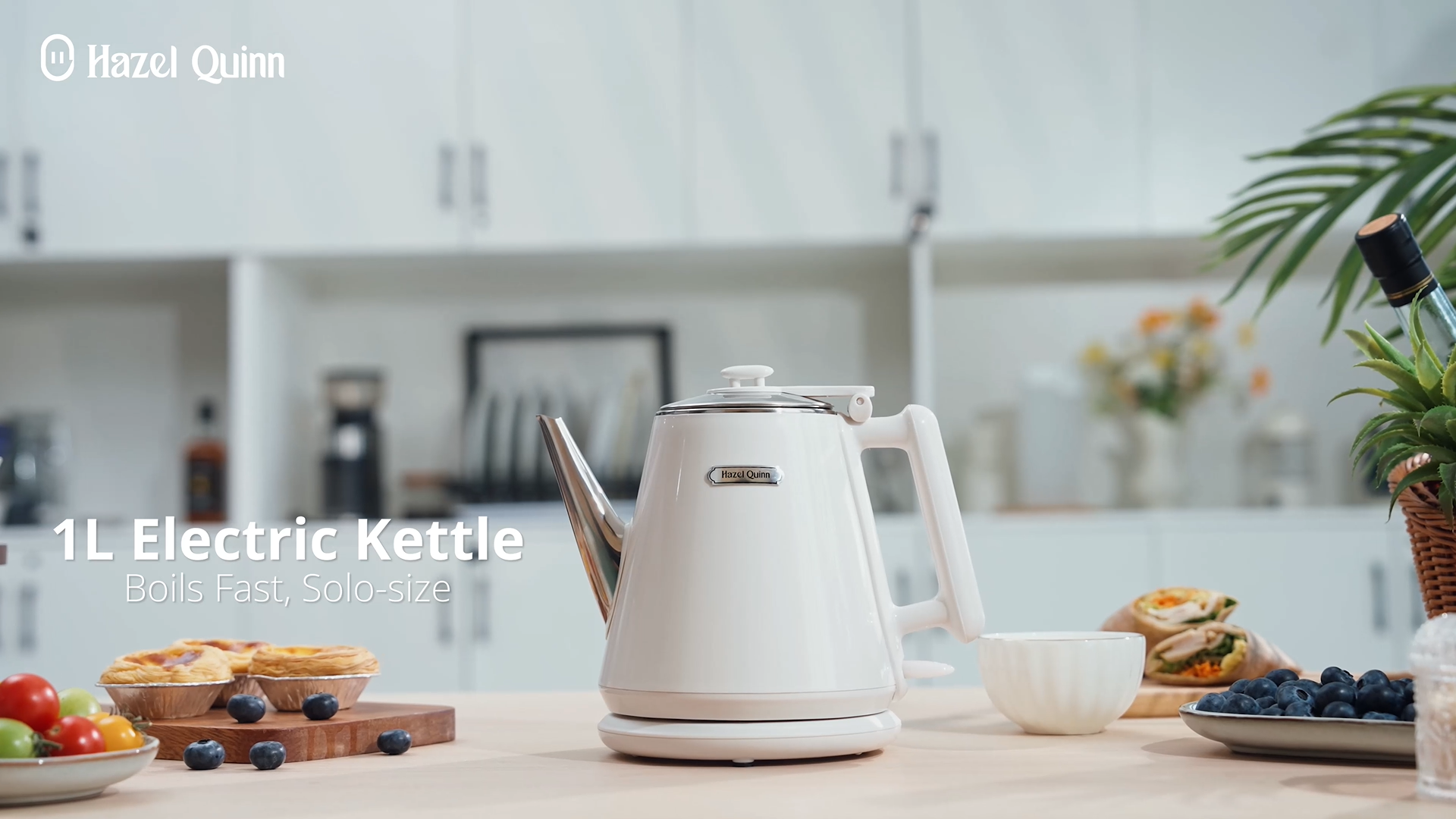 Amazon.com: Hazel Quinn Electric Kettle - 1L/34oz Small Tea Kettle