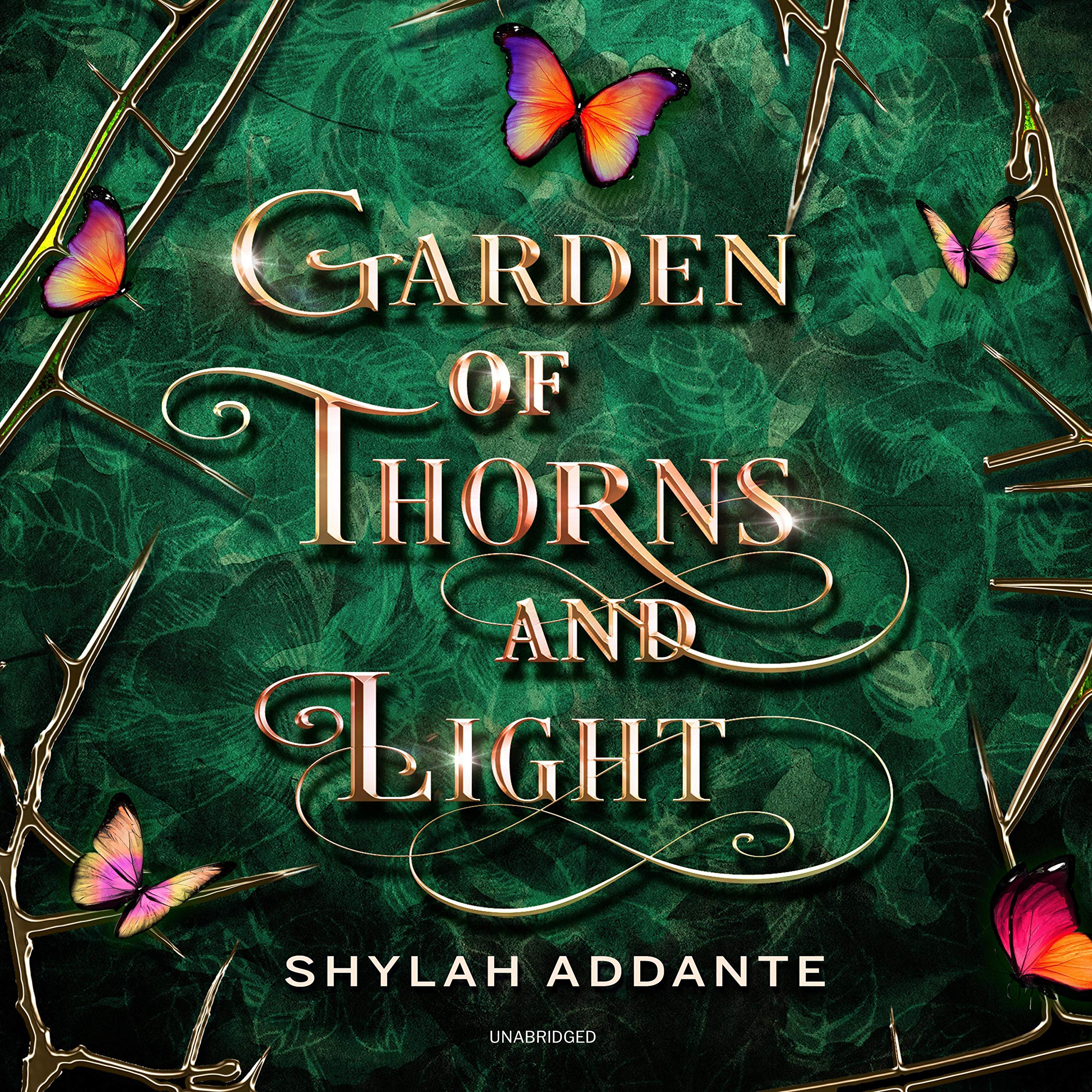 Cover art for Garden of Thorns and Light