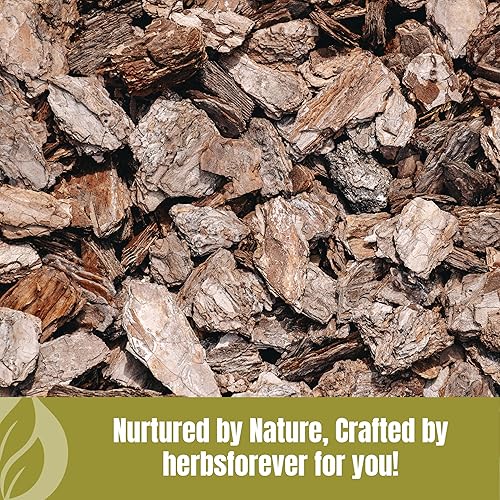 Miniatura 7 de Herbsforever Polvo orgánico Varuna Crataeva Nurvala de 8.11 oz sin OMG, extracto vegano para apoyo de la función de la vejiga y el riñón, promueve