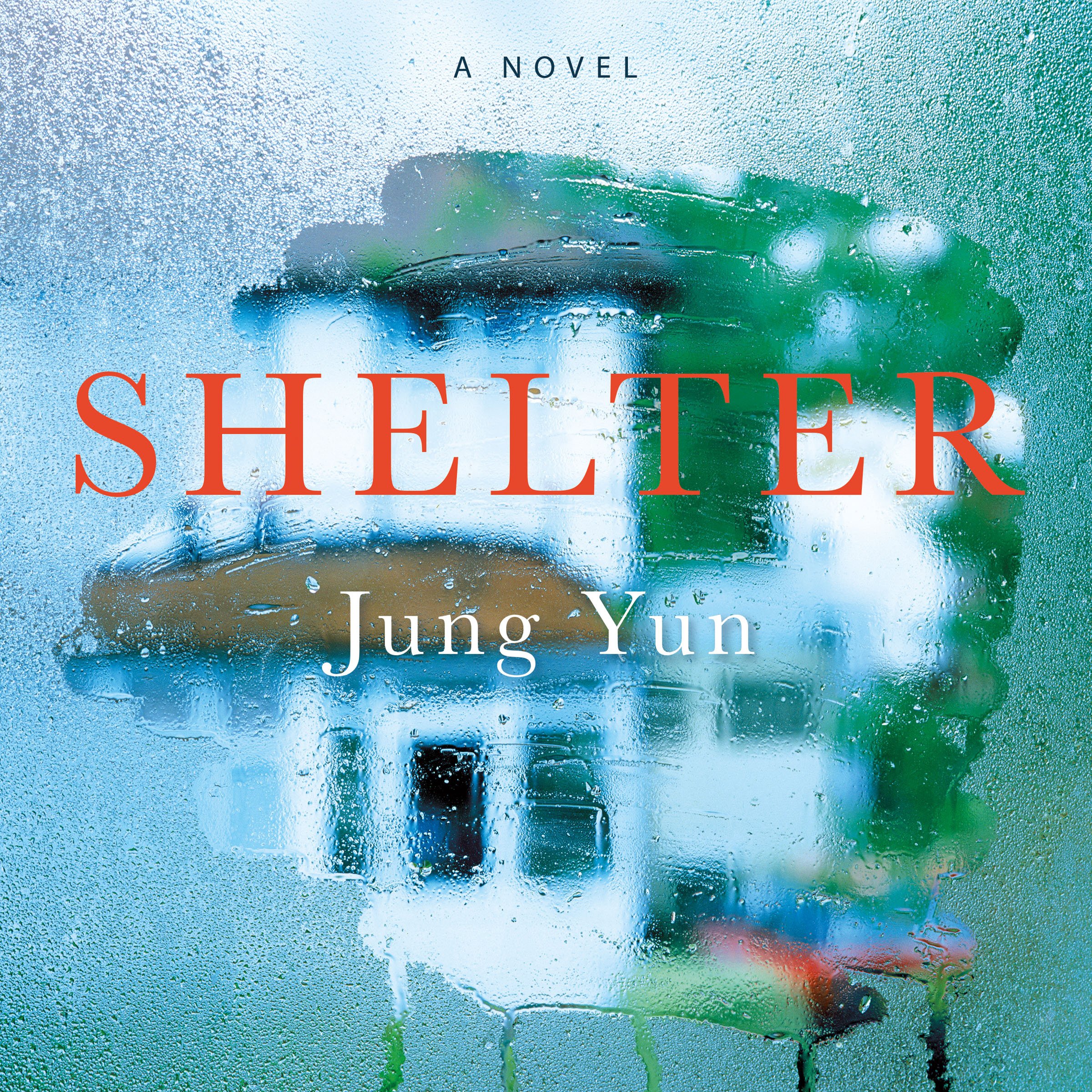 Cover art for Shelter