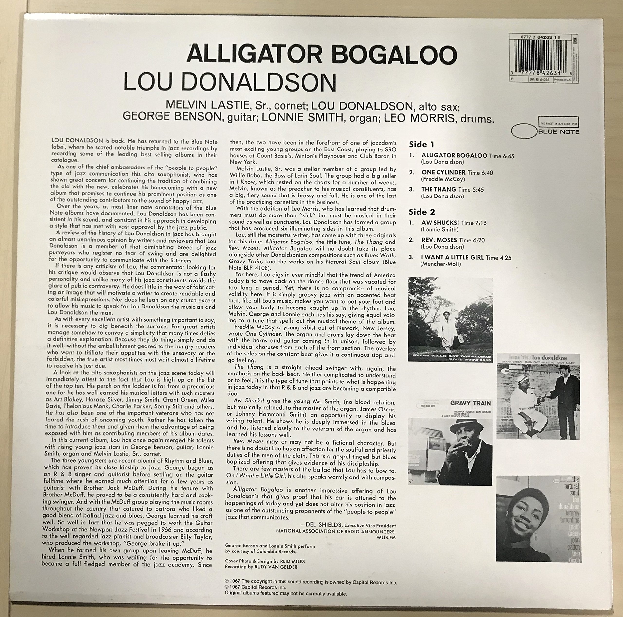 Alligator Boogaloo Analog]