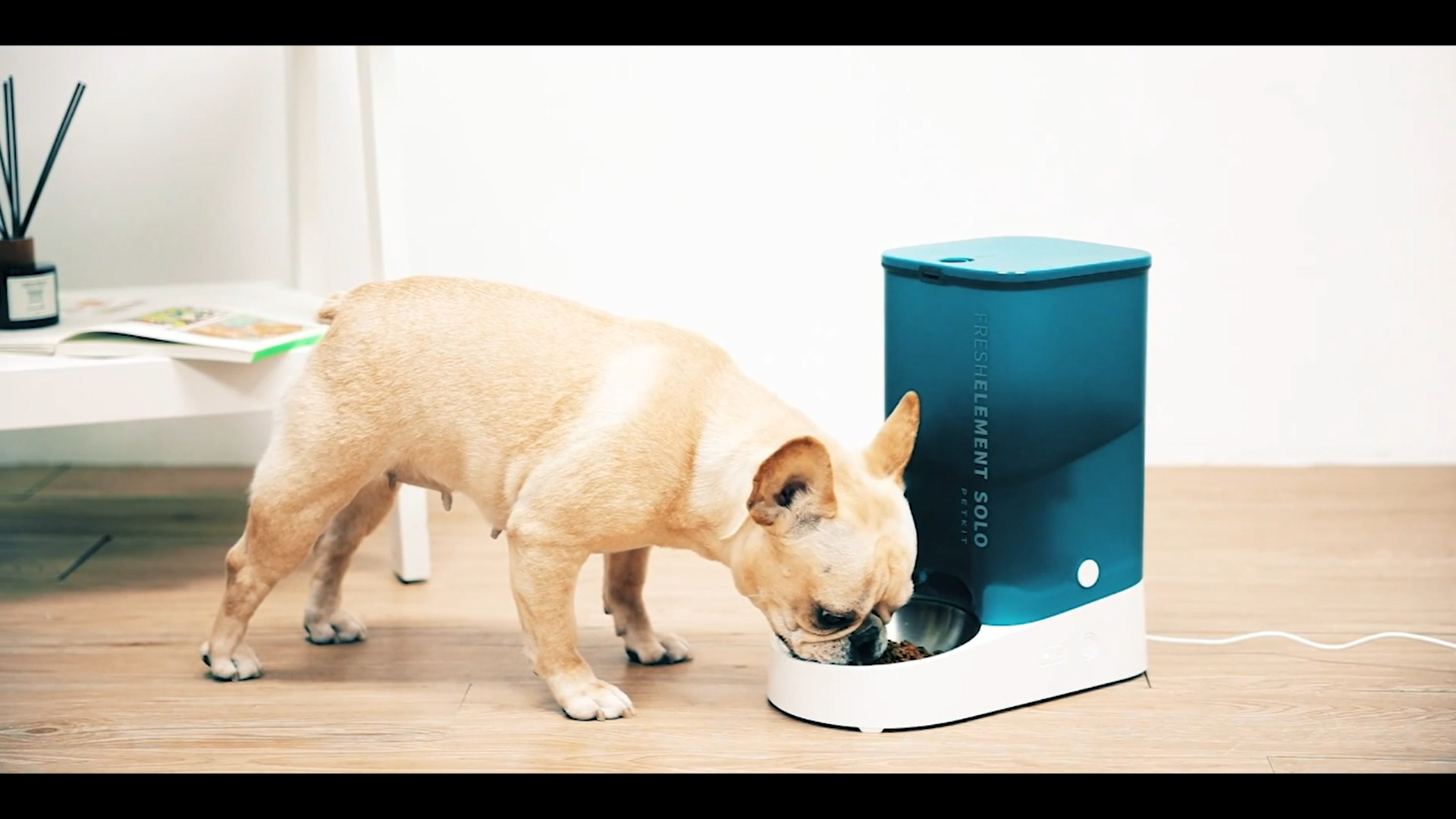 Automatische Voerbak Voor Kat En Hond – 5 Liter, WiFi (2.4G/5G) En App-bediening – Tot 10 Maaltijden Per Dag – Ideaal Voor Drukke Baasjes