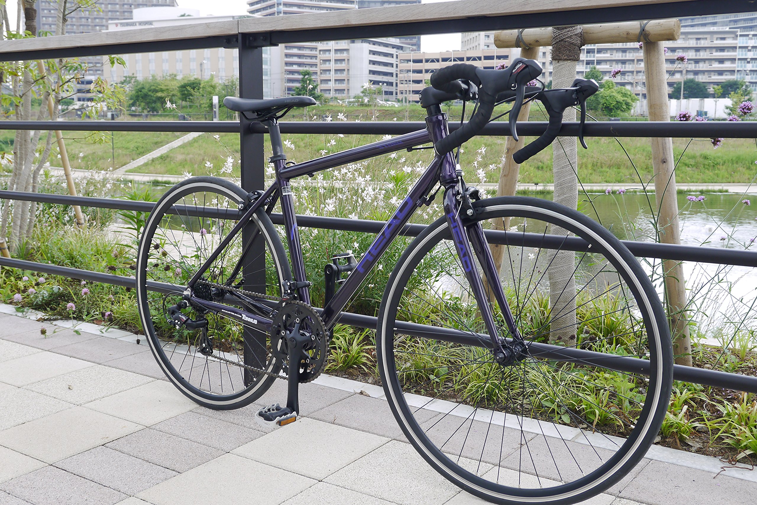 Amazon.co.jp: Takeda Sangyo: road・ロードバイク