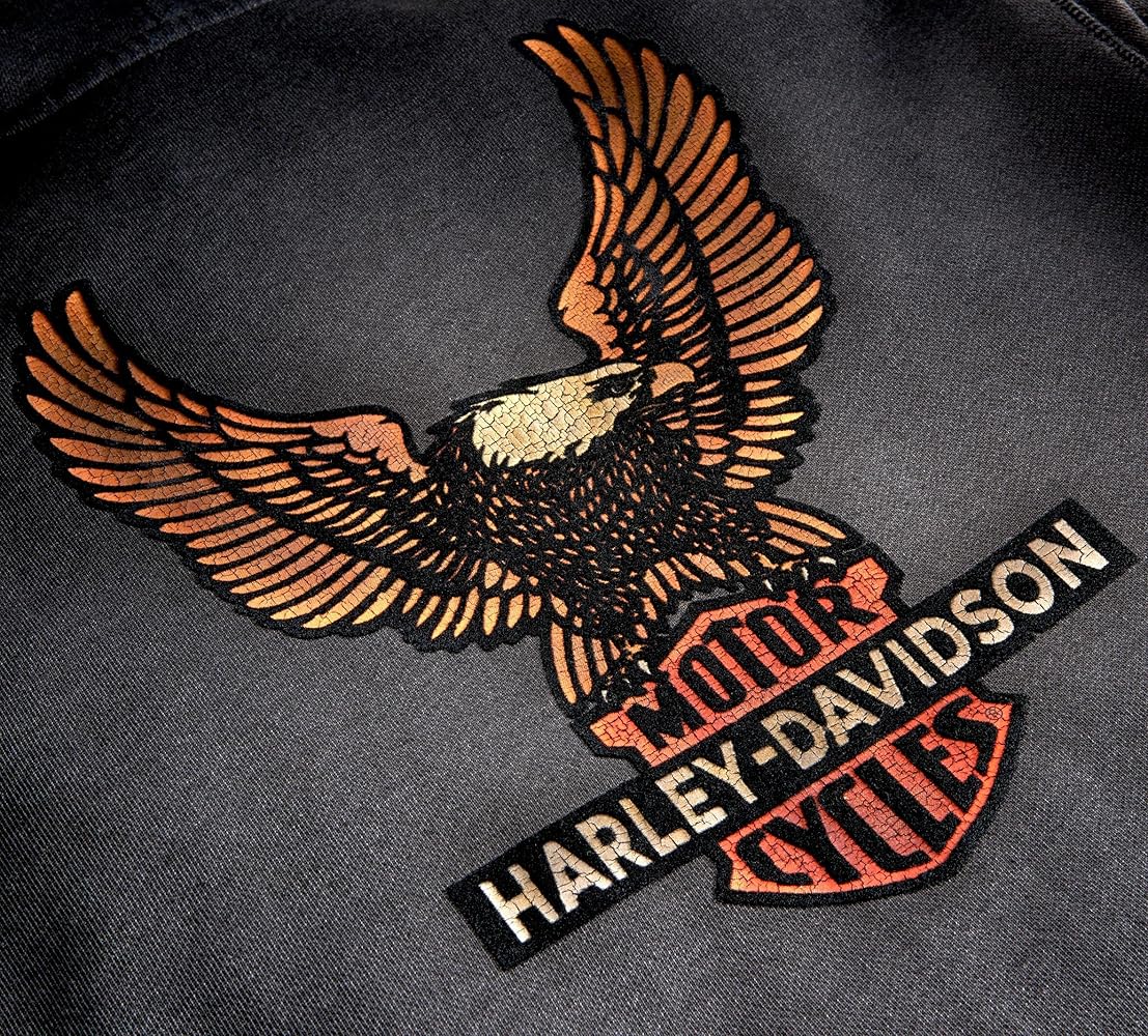 Harley-Davidson Legendary Eagle 革ジャン M Harley-Davidson Men CRUISER II Leather Jacket Black Embossed