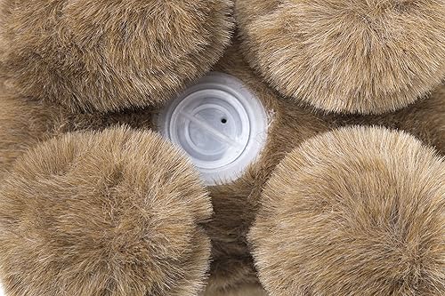 Miniatura 2 de Carstens Banco de monedas de cola de felpa blanca para niños, 12 x 8 x 6 pulgadas